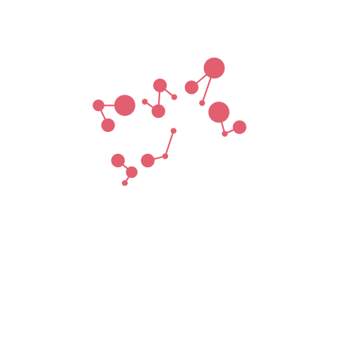 Logo Diversity For Performance Professional Coach Training Certification